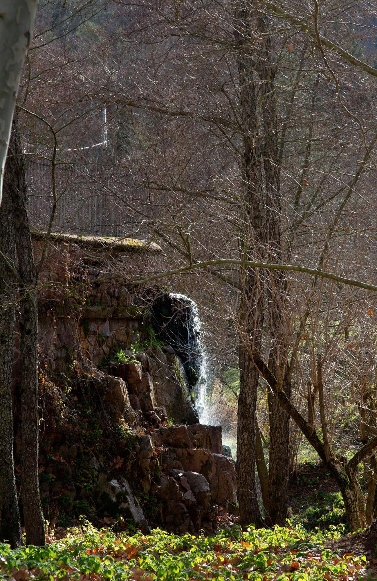Casa Fabregas - Benestar Natural Viladrau Extérieur photo